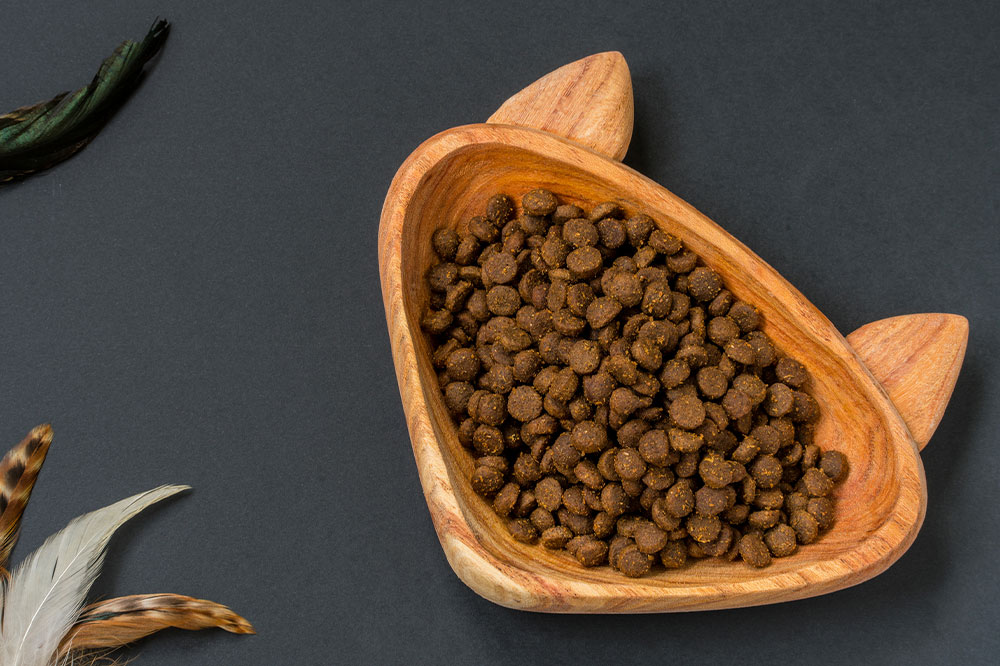 7 Top Trusted Cat Foods Brands